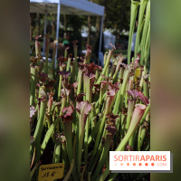 Jardins en Seine 2017