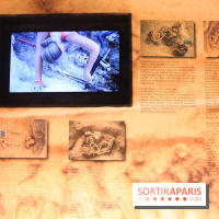 De terre et d’acier au Musée de la Grande Guerre