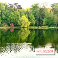 Les Paillotes des Etangs de Corot