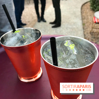 Les Paillotes des Etangs de Corot