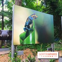 GoodPlanet au Domaine de Longchamp