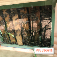 GoodPlanet au Domaine de Longchamp