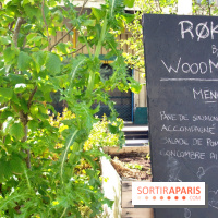 Ground Control 2017 à Paris