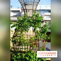 Ground Control 2017 à Paris