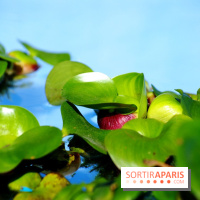 Ground Control 2017 à Paris