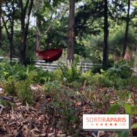 Botany For Change 2017