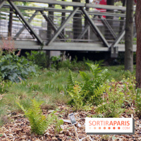 Botany For Change 2017