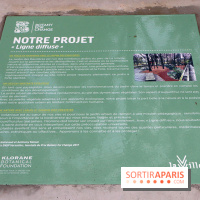 Botany For Change 2017