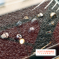 Vente aux Enchères Christian Bernard