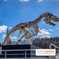 Tyrannosaurus Rex, l'installation de l'artiste Philippe Pasqua au Port de la Conférence