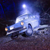 Harry Potter - L’Expérience en Forêt Interdite : l'aventure magique à Montauban... A quand à Paris ?