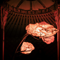 Le Monde d'Onyo : l'expérience sensorielle 100% bien-être à deux pas de Montparnasse