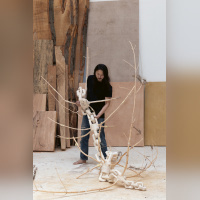 Les Cimes de l’Asphalte : l’exposition de Duy Anh Nhan Duc à l’Espace Richaud, à Versailles