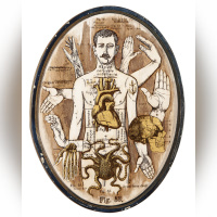 Anatonirisme : l'exposition gratuite entre art et science à la galerie La Lison