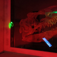 T.Rex Mission : l'escape game avec plein de dinosaures chez Escape Lab