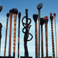 Saison France-Brésil 2025 : exposition Le Cri pour la Planète à l'Espace Frans Krajcberg