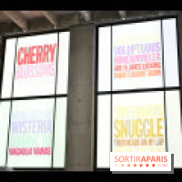 Welcoming the Flowers : nos photos de l’œuvre hommage à John Giorno au Palais de Tokyo