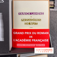 Grand Prix du roman de l’Académie française 2025 : Yanick Lahens récompensée pour Passagères de nuit