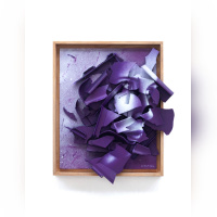 Expositon "Éclats de vie" de Clément Herrmann à la galerie Le Cabinet d'amateur