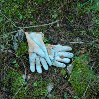 Quests are sometimes disappointing, l’expo photo à la galerie Frangulyan