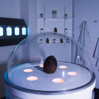 Team Break, l’escape game version maxi à La Défense