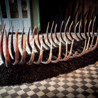 Migrations, l'installation d'Antoine Brodin à la galerie Collection