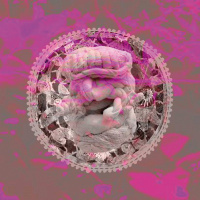 Présences, l'exposition à l'Espace Christiane Peugeot