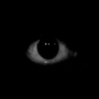 [images additionnelles de LaurentPradal]