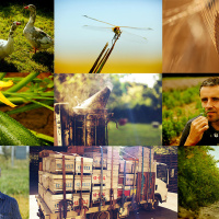 AGRICULTURE(S), l'exposition à l'Espace Coutures Saint-Gervais