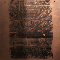 Exposition Eve Pietruschi à l'Hôtel Napoléon