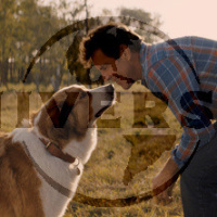 Mes autres vies de chien : la bande-annonce !