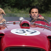 The Art of Racing in the Rain : bande-annonce