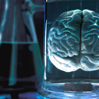 Opération Cortex, l'escape game de l'INSERM à l'Institut de psychiatrie et de neurosciences