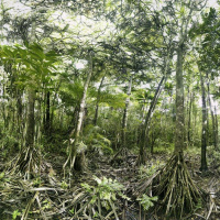 Grandeur Nature, l'exposition photo sur le Toit de la Grande Arche