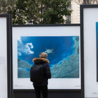 Exposition 1 Océan sur le parvis de la Gare de Lyon