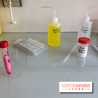 Escape Gènes, l'escape game qui sensibilise à la recherche génétique à l'Institut Imagine