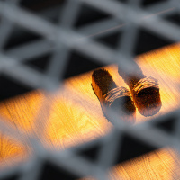 The Mutes, l'exposition de Lina Lapelytè à Lafayette Anticipations