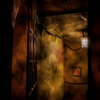 L'Expédition Maudite, l'escape game en mode Indiana Jones signé One Hour