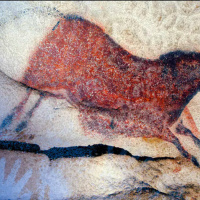 Art et Préhistoire, l'exposition de peintures rupestres au Musée de l'Homme