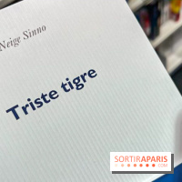 Prix Femina 2023 : "Triste tigre" de Neige Sinno récompensé, un roman qui brise le silence