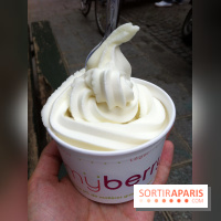 My Berry, Glace au yaourt