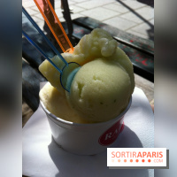 Raimo, Lait d'amande, Citron Basilic