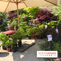 Jardins Jardin 2017 aux Tuileries, les photos