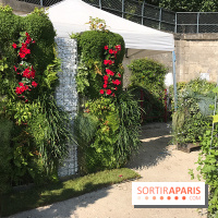 Jardins Jardin 2017 aux Tuileries, les photos