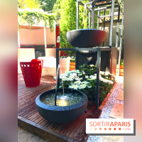 Jardins Jardin 2017 aux Tuileries, les photos