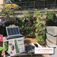 Jardins Jardin 2017 aux Tuileries, les photos