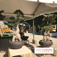 Jardins Jardin 2017 aux Tuileries, les photos