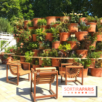 Jardins Jardin 2017 aux Tuileries, les photos