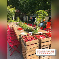 Jardins Jardin 2017 aux Tuileries, les photos