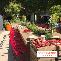 Jardins Jardin 2017 aux Tuileries, les photos